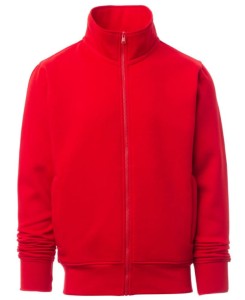 Bluza Męska Alabama S00645-0308 Payper