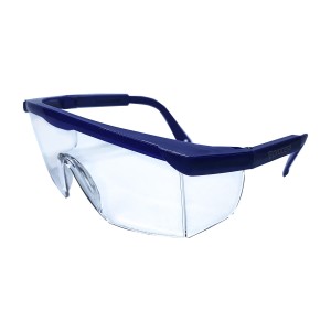 Okulary Ochronne Carlos (przezroczyste) Procera