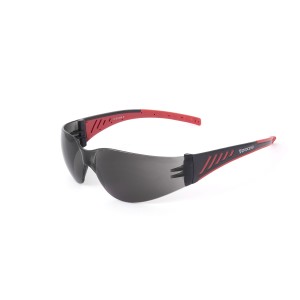 Okulary Ochronne Luis Smoke (przyciemniane) Procera