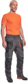 Spodnie robocze do pasa Emerton Plus CL03020407A2 Cerva