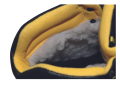 bk tpu 2.png