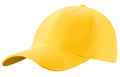 CZA006 GOLD (1).png