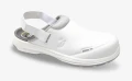 FLUXSBCLOG-WHT-WEB03.jpg