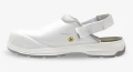 FLUXSBCLOG-WHT-WEB02.jpg